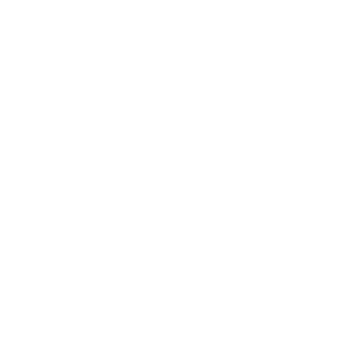 White icon of a dollar sign on a golden yellow background. This to signifies our Employment Connections Program.
